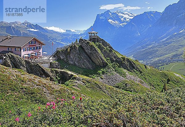 Berggasthof auf der Kleinen Scheidegg mit Wetterhorn  UNESCO-Weltnaturerbe  Wengen  Jungfrau-Region  Berner Alpen  Berner Oberland  Kanton Bern  Schweiz  Europa
