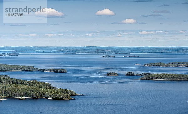Berühmte Aussicht auf Pielinen-Seenlandschaft  Wald  Inseln  Koli-Berg  Koli-Nationalpark  Nordkarelien  Finnland  Europa