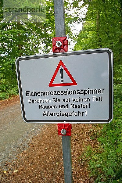 Warnschild am Waldweg warnt vor dem Eichenprozessionsspinner  Hessen  Deutschland  Europa