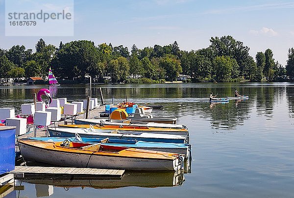 Elektroboote am Ufer des Waginger Sees  Waging am See  Rupertiwinkel  Oberbayern  Bayern  Deutschland  Europa