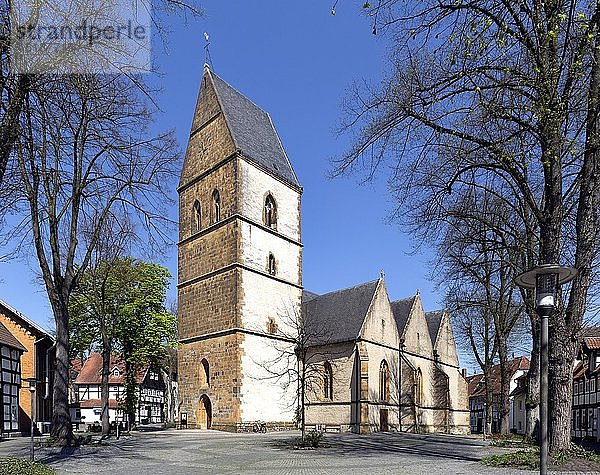 Evangelische Pfarrkirche St. Johannes  Haller Herz  Halle  Ostwestfalen  Nordrhein-Westfalen  Deutschland  Europa
