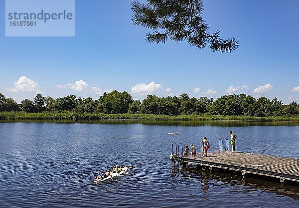 Badestrand am Abtsdorfer See  Gemeinde Saaldorf-Surheim  Rupertiwinkel  Oberbayern  Bayern  Deutschland  Europa