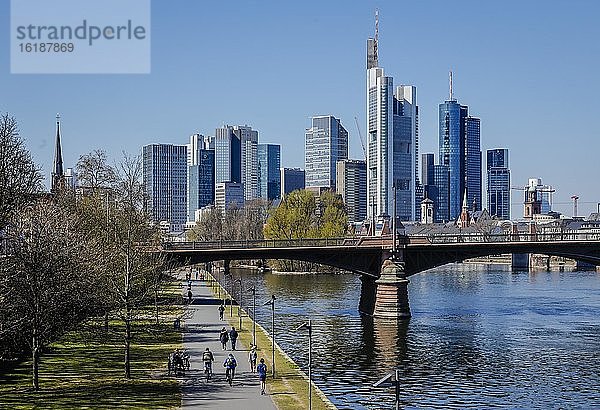 Spaziergänger am Mainufer vor Skyline der Frankfurter Innenstadt mit Bankenviertel  Frankfurt am Main  Hessen  Deutschland  Europa