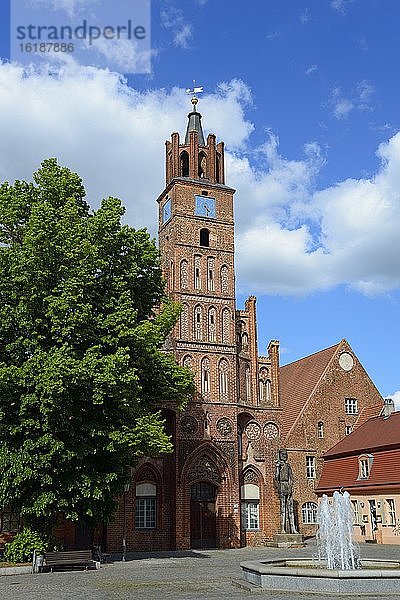 Altes Rathaus  Stadt Brandenburg  Brandenburg  Deutschland  Europa