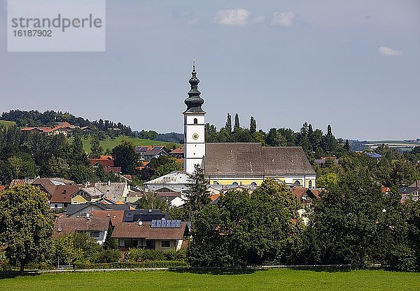 Ortsansicht mit Pfarrkirche Sankt Martin  Waging am See  Rupertiwinkel  Oberbayern  Bayern  Deutschland  Europa