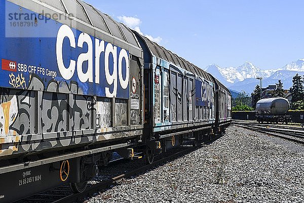 Eisenbahnwagen  Güterwaggons SBB Cargo  Schweiz  Europa