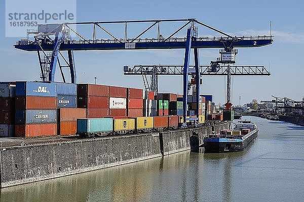 Hafenkran belädt Containerschiff mit Containern  der Binnenhafen im Frankfurter Stadtteil Ostend ist ein Umschlagplatz für Massen- und Stückgut  Osthafen Frankfurt  Frankfurt am Main  Hessen  Deutschland  Europa