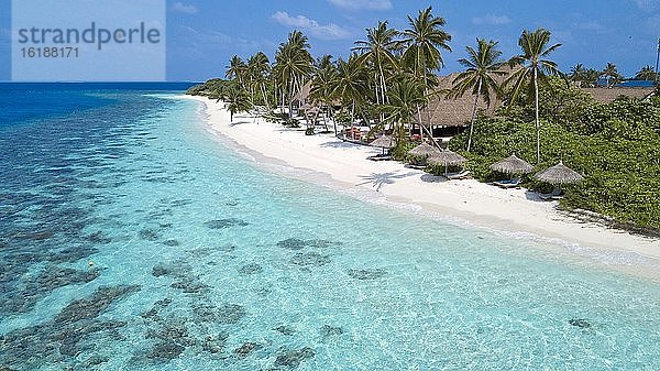 Vogelperspektive  Lagune und Strand mit palmgedeckte Sonnenschirme und Kokospalmen (Cocos nucifera)  Filaidhoo  Raa Atoll  Malediven  Asien