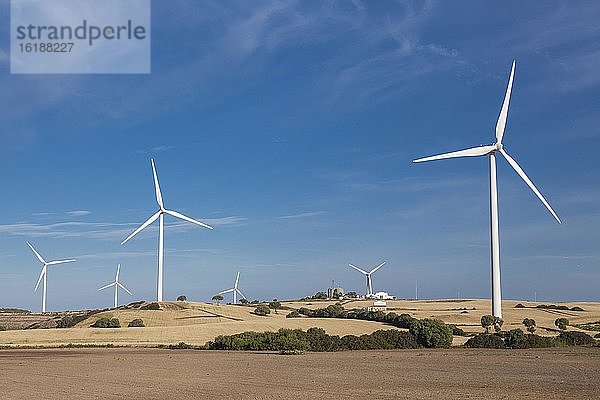 Windkraftanlagen auf Feldern  Medina Sidonia  Provinz Cádiz  Spanien  Europa