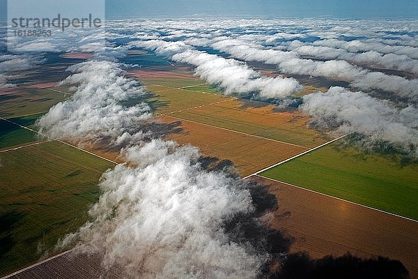 Bewässerte Soja-  Mais-  Baumwoll- und Kaffeeplantagen im westlichen Bundesstaat Bahia  Brasilien  Südamerika