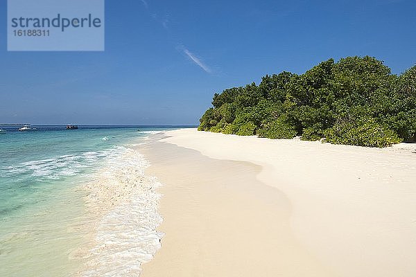 Tropischer Strand ohne Palmen  Alidhoo  Haa Alifu Atoll  Malediven  Asien