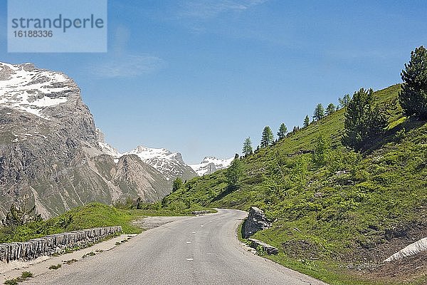 Abgelegene Alpenstraße  Baumgrenze  Hochalpen  Piemont  Italien  Europa