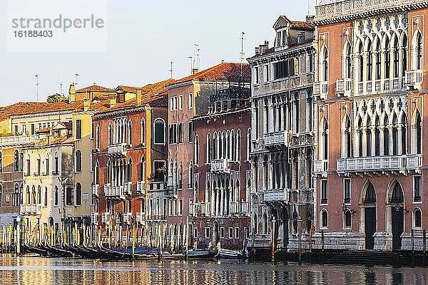 Historische Häuserfassaden am Canale Grande im Morgenlicht  Venedig  Venetien  Italien  Europa