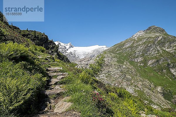 Wanderweg und Gebirgslandschaft mit Gletscher Schlatenkees  Nationalpark Hohe Tauern  Tauerntal  Osttirol  Österreich  Europa