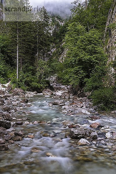 Fließendes Wasser in der Garnitzenklamm  Langzeitbelichtung  Hermagor  Kärnten  Österreich  Europa