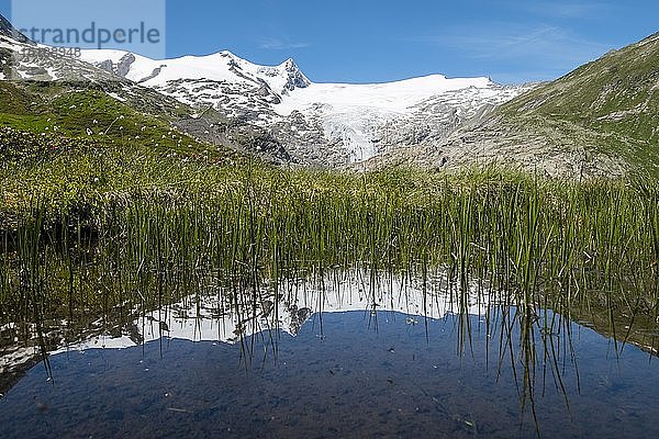 Gebirgslandschaft mit Gletscher Schlatenkees  Spiegelung  Nationalpark Hohe Tauern  Tauerntal  Osttirol  Österreich  Europa