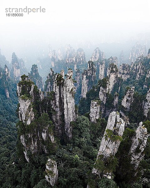 Avatar Mountains  Zhangjiajie National Park  China  Asien