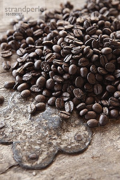 Geröstete Arabiga Kaffeebohnen  Kaffeeplantage Aguas Claras in Itapira  Sao Paulo  Brasilien  Südamerika