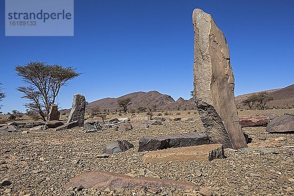 Berber Friedhof im Anti-Atlas  Marokko  Afrika