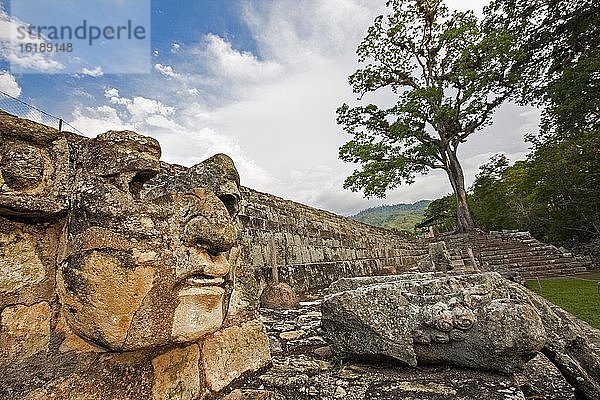 Der Osthof der Acrópolis vom Tempel 22 aus gesehen  Archäologischer Park Copán  Honduras  Mittelamerika