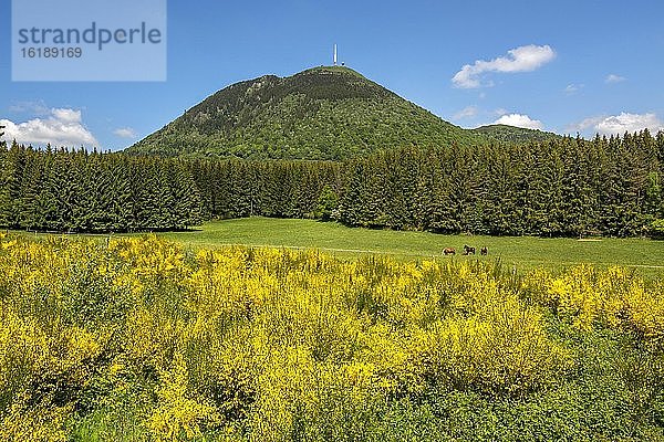 Blick auf den Vulkan Puy de Dome  Regionaler Naturpark Volcans d'Auvergne  Departement Puy de Dome  Auvergne-Rhone-Alpes  Frankreich  Europa