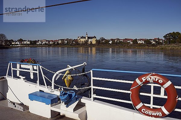 Elbefähre Coswig  Elbe  hinten die Stadt Coswig  Sachsen-Anhalt  Deutschland  Europa