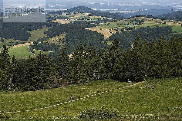 Wanderweg an der Wasserkuppe  Biosphärenreservat Rhön  Hessen  Deutschland  Europa