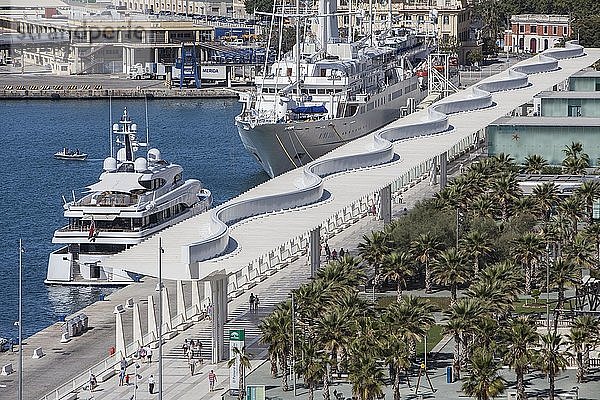 Luxusyachten und Palmeral De Las Sorpresas im Hafen von Malaga  Spanien  Europa
