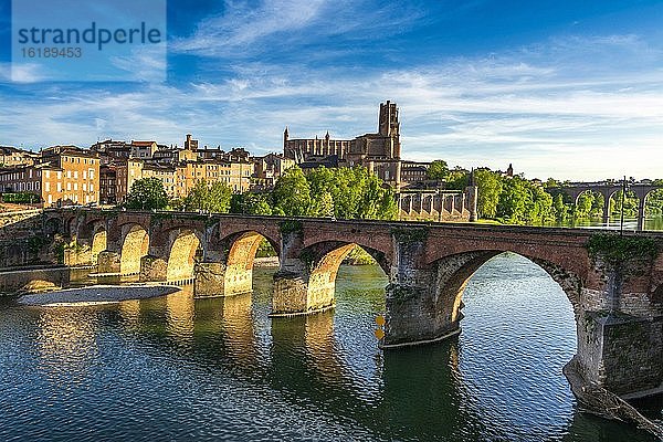 Ortsansicht mit Kathedrale Saint Cecile am Fluss Tarn  Unesco-Weltkulturerbe  Albi  Departement Tarn  Occitanie  Frankreich  Europa