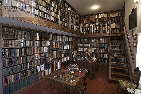 Bibliothek im Palast Vela de Cobos  Ubeda  Provinz Jaen  Spanien  Europa