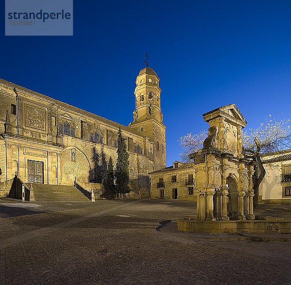Marienbrunnen und Kathedrale von Baeza  Provinz Jaen  Spanien  Europa