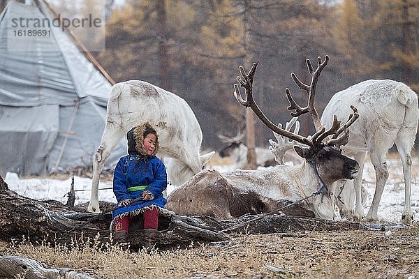 Mädchen mit Rentieren in einem Nomadencamp  Provinz Khuvsgul  Mongolei  Asien