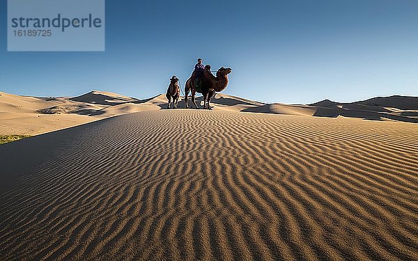Kamelhirte in den Sanddünen von Khongor  Provinz Umnugobi  Mongolei  Asien