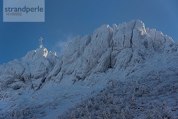 Berggipfel Kampenwand im Winter  Chiemgau  Oberbayern  Deutschland  Europa