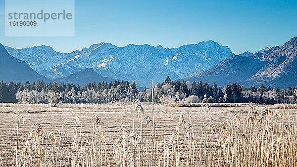 Blick über Murnauer Moos  hinten Wettersteingebirge mit Zugspitze  Murnau am Staffelsee  Bayern  Deutschland  Europa