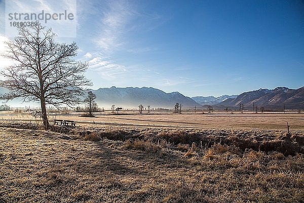 Blick über Murnauer Moos  hinten Wettersteingebirge  Murnau am Staffelsee  Bayern  Deutschland  Europa