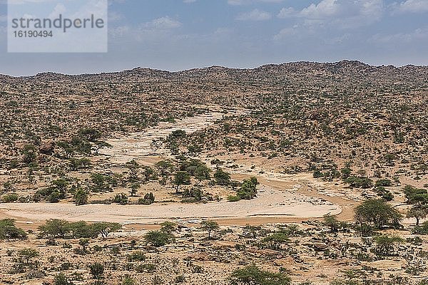 Blick über die Wüste von den Höhlen von Laas Geel aus  Somaliland  Somalia  Afrika