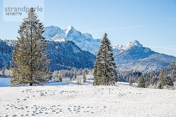 Berglandschaft im Winter  hinten Wettersteingebirge  Bayerisches Oberland  Krün  Bayern  Deutschland  Europa