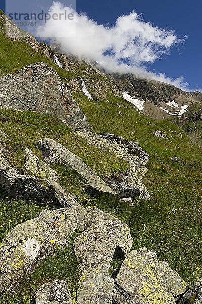 Bergwiese  Nationalpark Hohe Tauern  Heiligenblut  Kärnten  Österreich  Europa