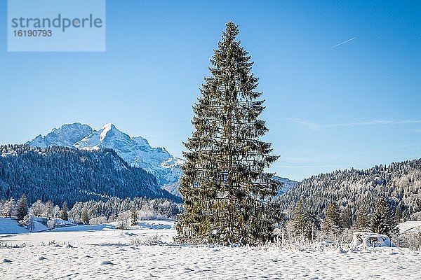 Berglandschaft im Winter  hinten Wettersteingebirge  Bayerisches Oberland  Krün  Bayern  Deutschland  Europa