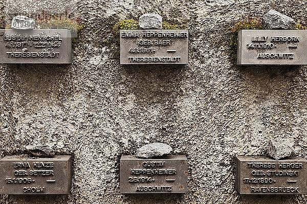 Gedenkstätte für Frankfurter Juden während des Dritten Reiches  Jüdischer Friedhof  Frankfurt am Main  Hessen  Deutschland  Europa