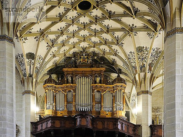 Orgel  Stadtkirche St. Marien  Pirna  Sächsische Schweiz  Sachsen  Deutschland  Europa