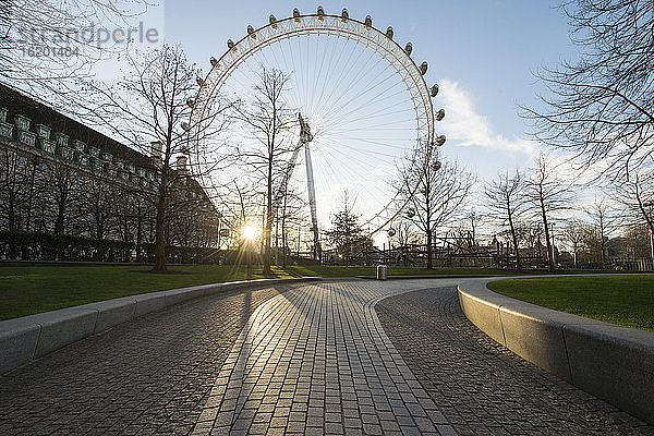 London Eye Millennium-Riesenrad und leere Wege in einem Park bei Sonnenuntergang