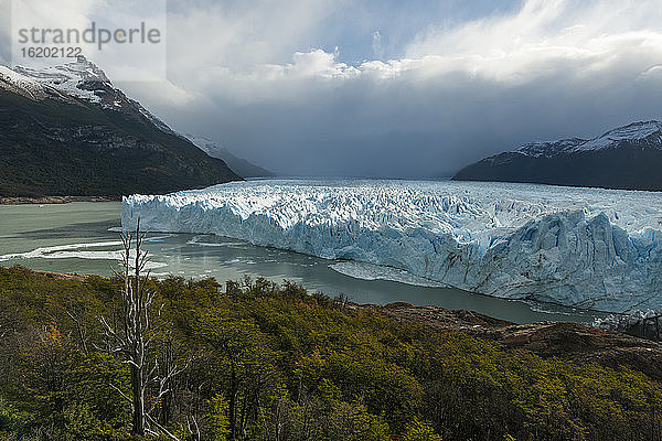 Blick auf den Perito-Moreno-Gletscher  Los Glaciares-Nationalpark  Patagonien  Argentinien
