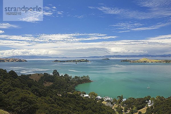 Blick auf die Küste  Waiheke Island  Auckland  Neuseeland
