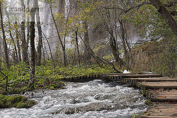 Obere Wasserfälle  Nationalpark Plitvicer Seen  Kroatien