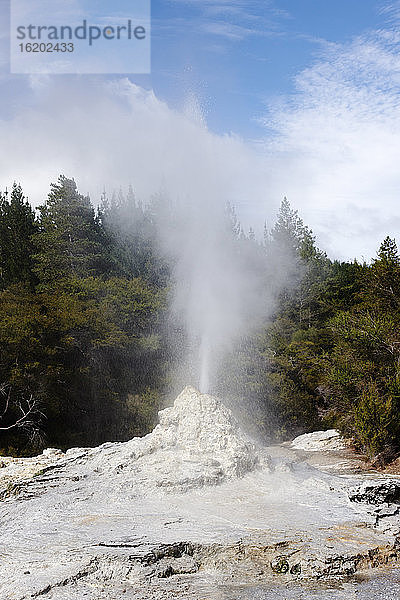 Geysir und vulkanisches Gestein  Rotorua  Auckland  Neuseeland