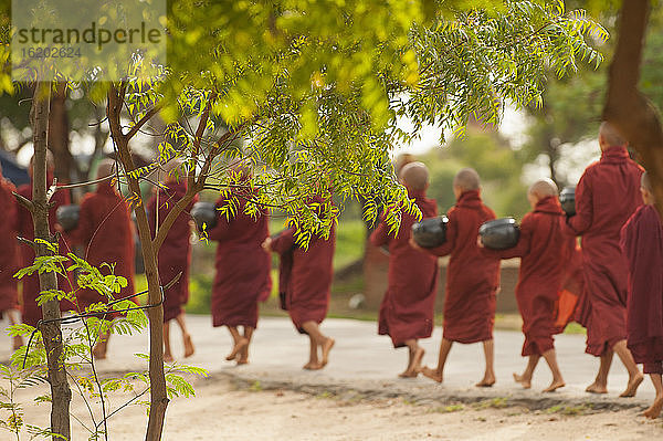 Junge buddhistische Mönche beim Sammeln von Almosen  Bagan  Myanmar