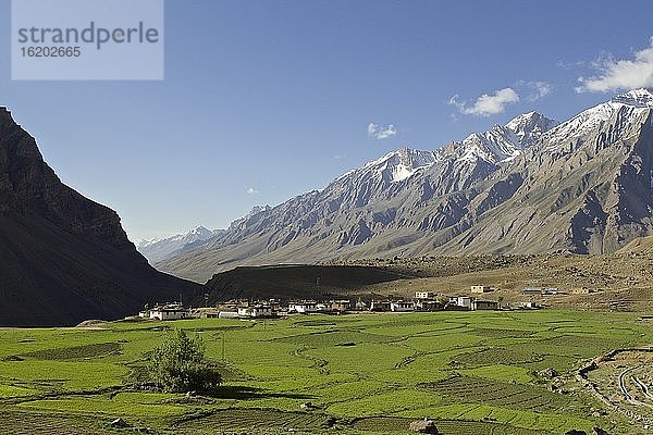 Dorf im Tal bei Kibber  Himachal Pradesh  Indien  Asien