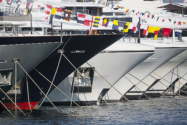 Nahaufnahme einer Reihe von Luxusjachten  die im Port Hercule  Monte Carlo  Monaco  vor Anker liegen